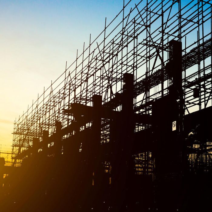 Builder of Human